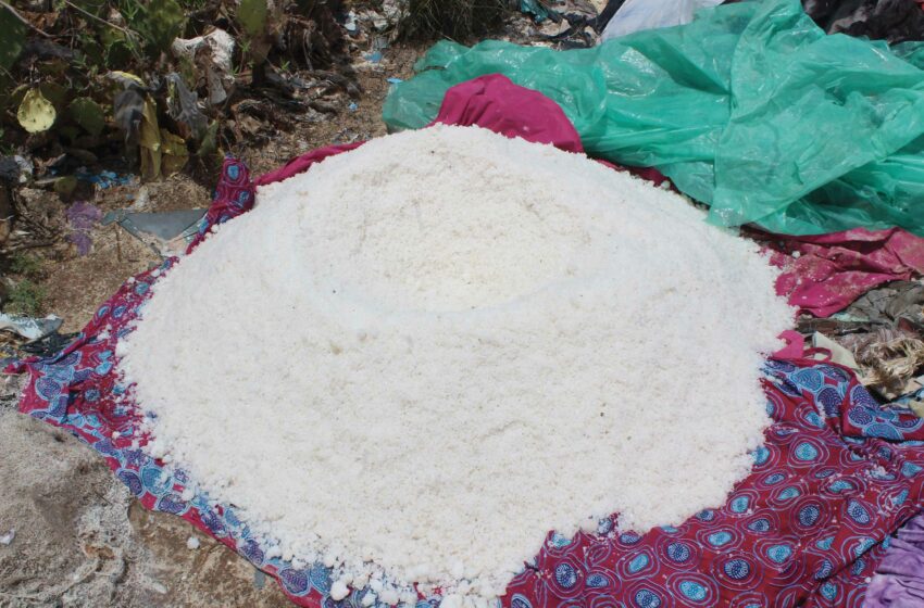  Commune de Ndiébène-Gandiol : Gros potentiel d’un sel spécifique à valoriser