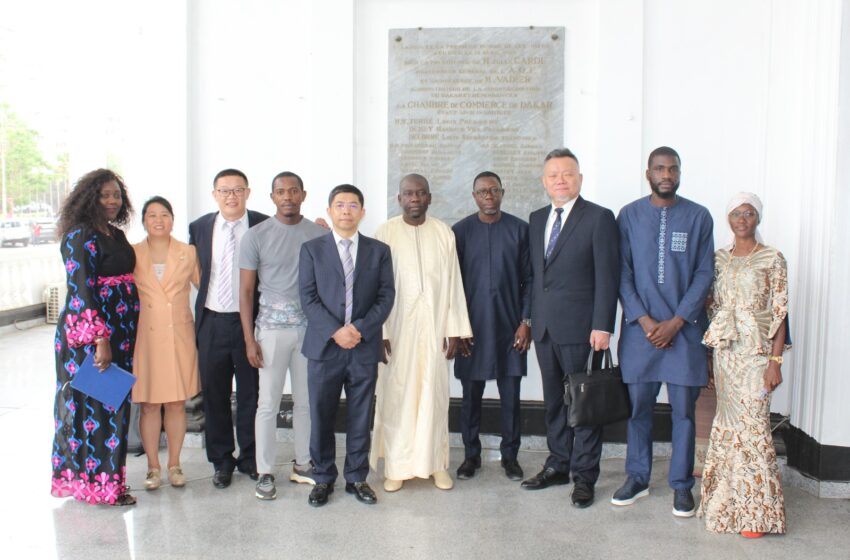  Coopération sino-sénégalaise : La CCIAD reçoit des hommes d’affaires de la ville de Chongqing