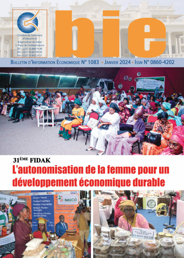 L'AUTONOMISATION DE LA FEMME