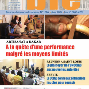 A LA QUETE D'UNE PERFORFORME MALGRE LES MOYENS LIMITES