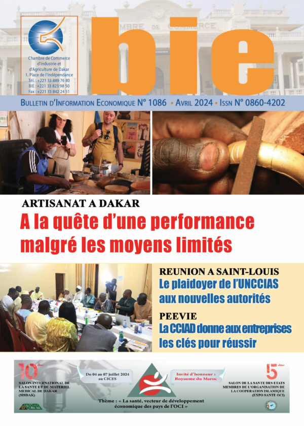 A LA QUETE D'UNE PERFORFORME MALGRE LES MOYENS LIMITES