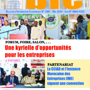 UNE KYRIELLE D'OPPORTUNITES POUR LES ENTREPRISES