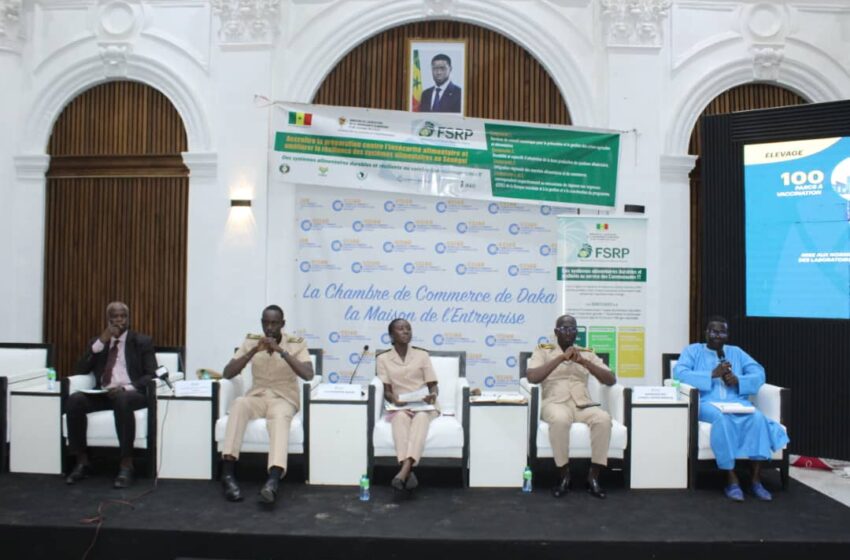  FSRP : Vers une meilleure résilience agricole et pastorale au Sénégal