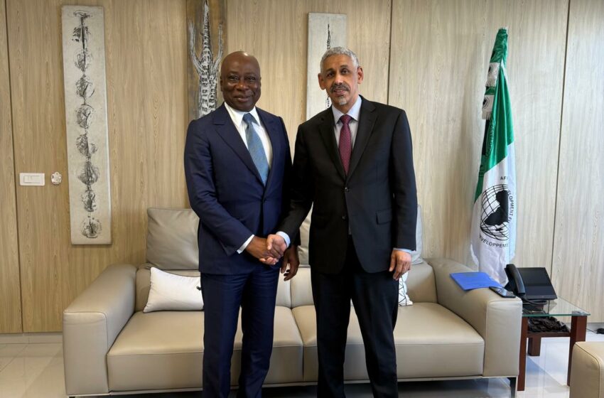  Rencontre institutionnelle:  Baïdy Agne reçu par le président de la BAD, Sidi Ould Tah