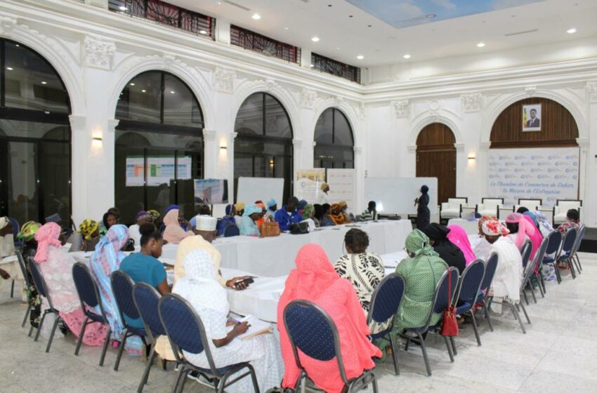  Encadrement des TPE:     La CCIAD et la CBAO misent sur la formation en Gestion de trésorerie