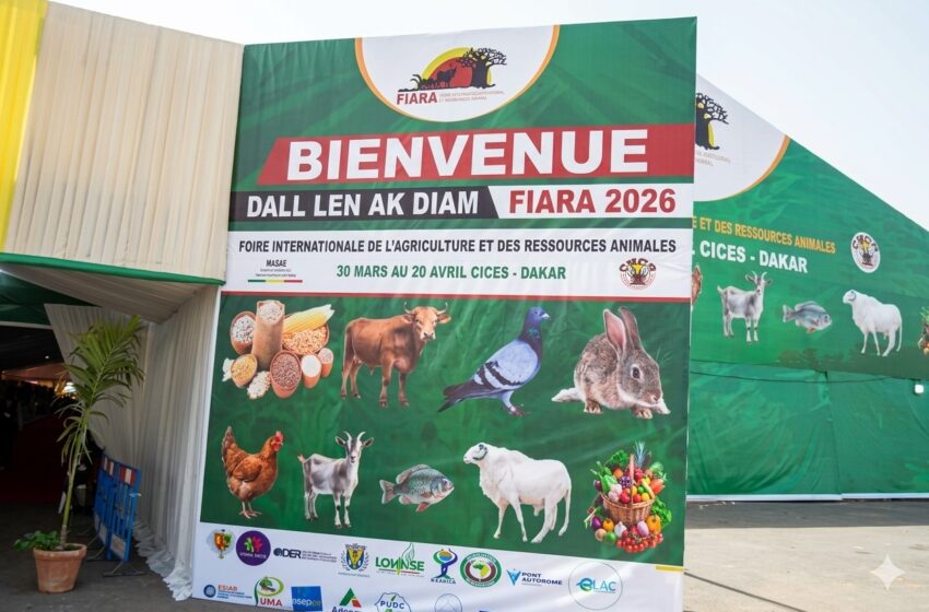  Prolongation de la FIARA 2026 : De nouvelles opportunités pour les exposants